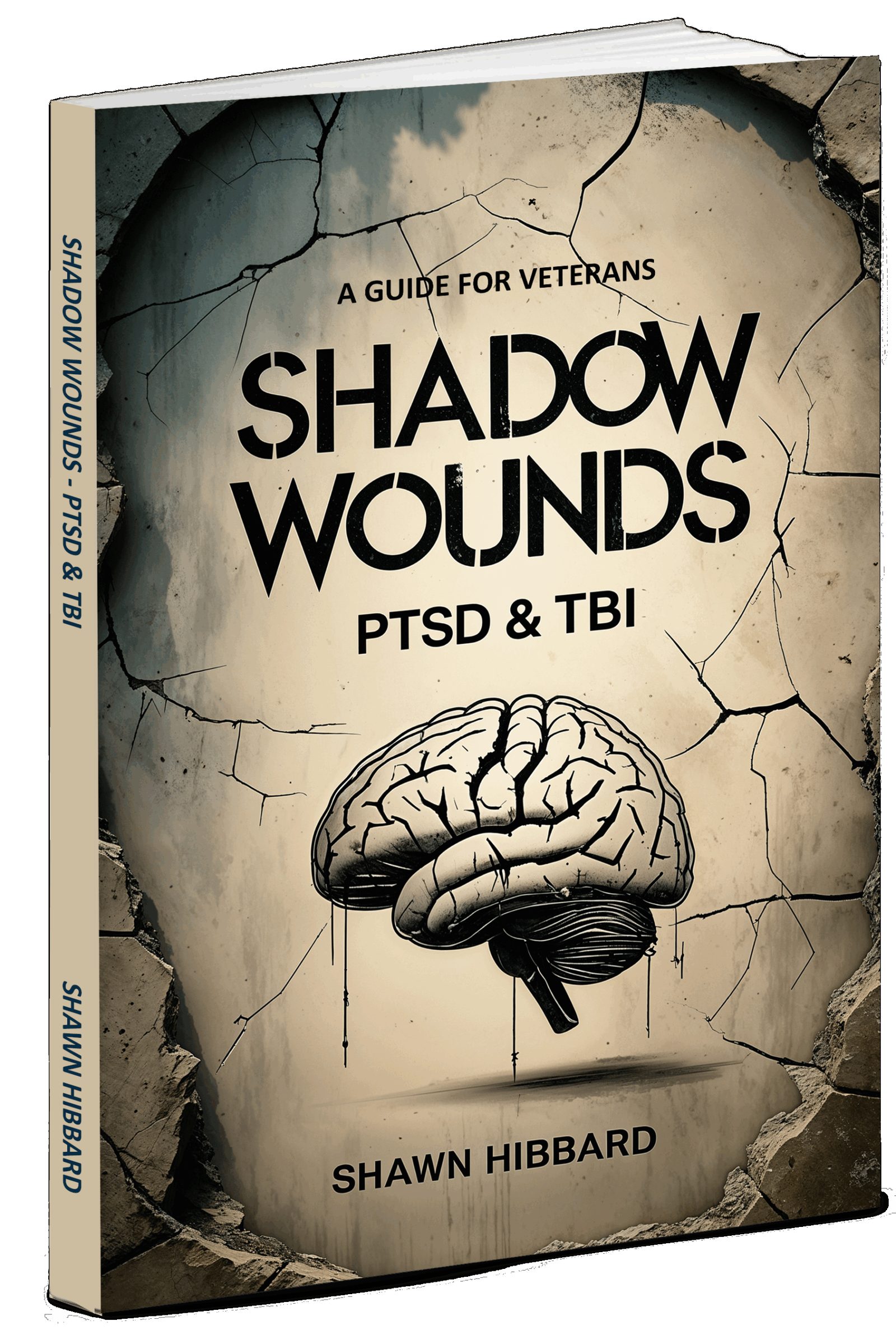 Shadow Wounds paperback book cover